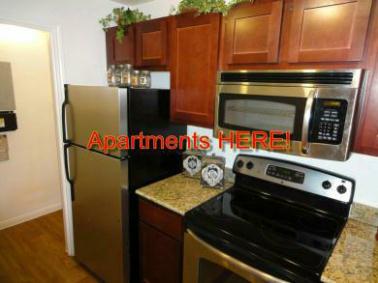 Granite Counter Tops and they WILL ACCEPT A BROKEN LEASE AND ANYDOG IS WELCOME!