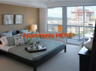 We work with all Pets, we have Austin Apartments that accept PIT BULLS, ROT WEILERS, GREAT DANES, MASTIFFS and more!